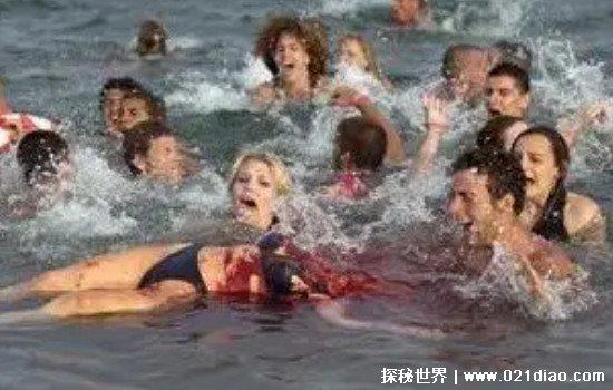 食人鲳的天敌是什么，最怕电鳗(电鳗轻易电晕食人鲳然后吃掉)