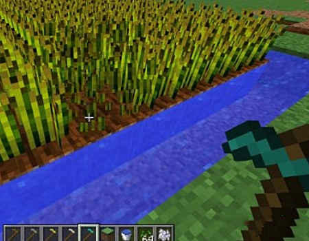 「海怪未解之谜」“海怪”之谜是什么？