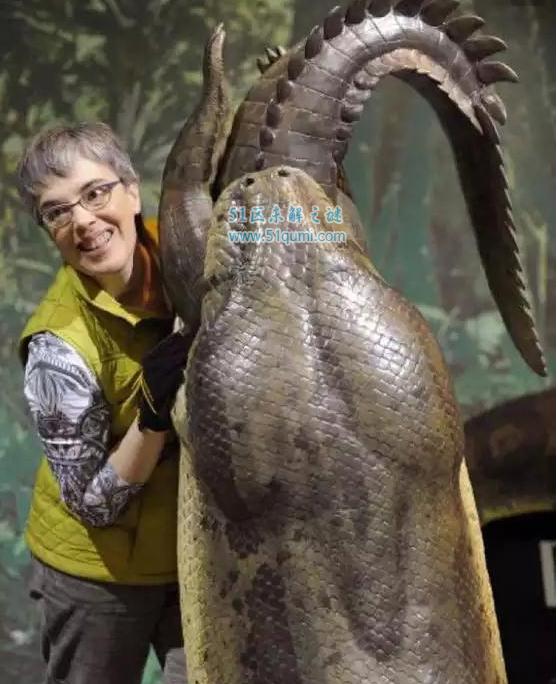 世界上最大的蛇泰坦巨蟒，重达一吨长12米以鳄鱼为食