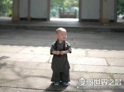 西禅寺超萌小和尚，一岁多大的呆萌小和尚爆红网络