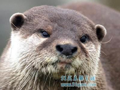 水鬼是什么?水鬼真的存在吗?