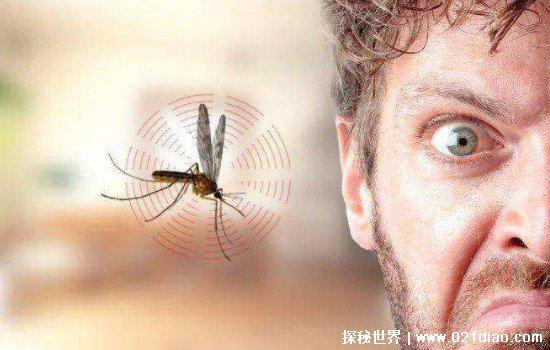 蚊子只吸人血吗，不是(也吸其它动物的血/雄蚊不吸血)