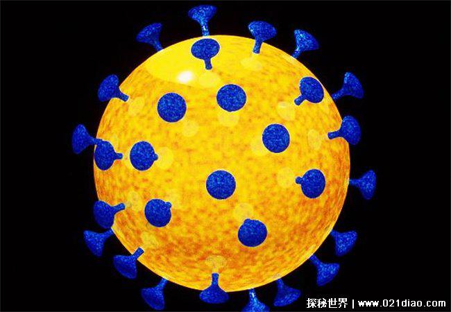 世界上10大最恐怖的病毒 马尔堡病毒(致命病毒)