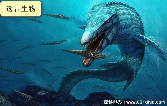 长白山天池水怪之谜真相已被破解,专家解释翻车鱼就是水怪