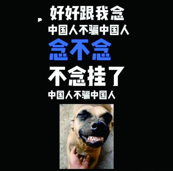 中国人不骗中国人是什么梗，就是保证不欺骗否则不是中国人