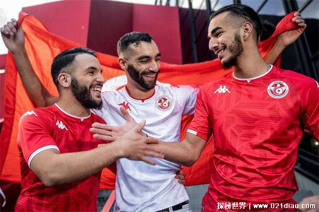 突尼斯队排名（排名第30位）