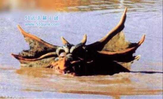 本耶普怪兽之谜 专门小孩女人的怪物存在吗?