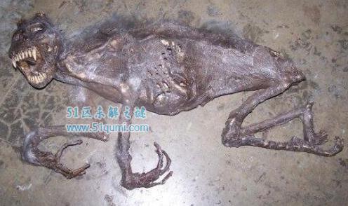 本耶普怪兽之谜 专门小孩女人的怪物存在吗?