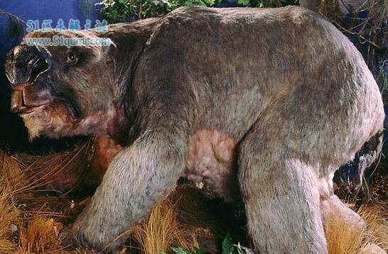 本耶普怪兽之谜 专门小孩女人的怪物存在吗?