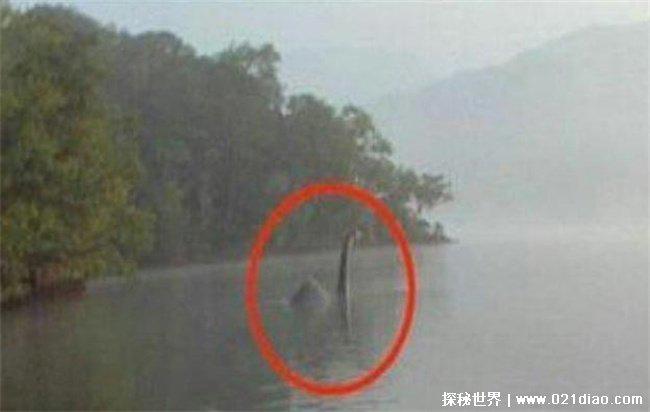 青海湖水怪的传说 龙吸水和青海湖水怪有关(场面壮观)