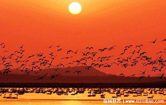 湖州市的湖叫什么，太湖(中国第三大淡水湖)