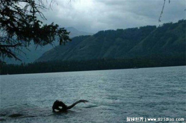 盘点世界十大水怪 铜山湖水怪比较神秘(致人员伤亡)