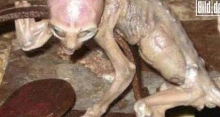 7个外星人真实图片和事件，发现外星人尸体(附图片)