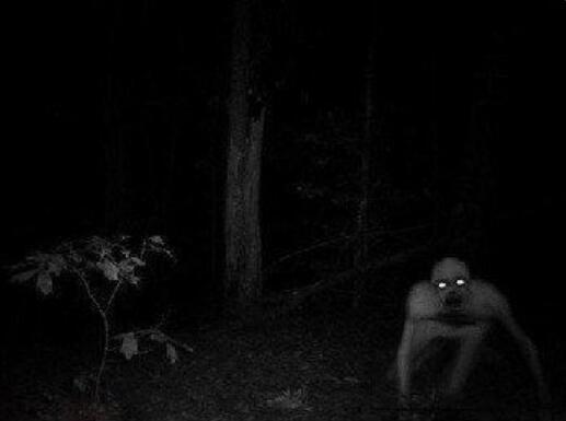 7个外星人真实图片和事件，发现外星人尸体(附图片)