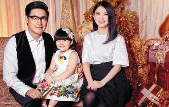 王岳伦身价是多少个亿，网传将近85亿(一家一个月花销60万)