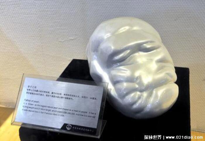 世界上最大的珍珠，菲律宾巨型珍珠(重达68斤宽约67厘米)