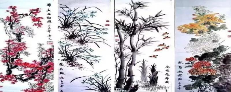 花中四君子指什么