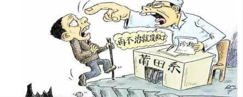 莆田系是什么意思