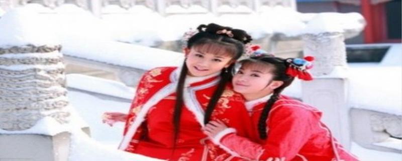 新还珠格格为什么下架了