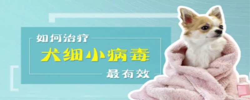 犬细小病毒治疗方法
