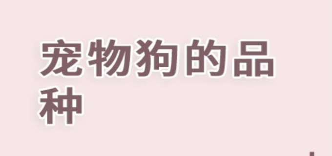 宠物狗的种类有哪些
