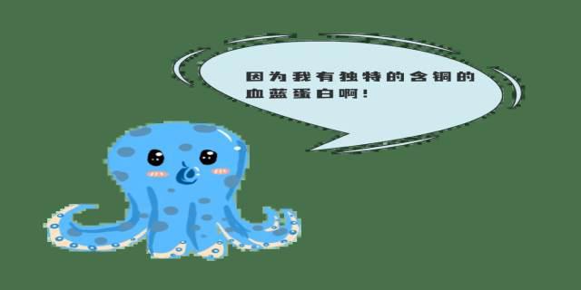 章鱼血液的颜色是什么
