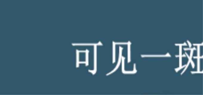 可见一斑什么意思?