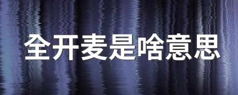 全开麦是啥意思