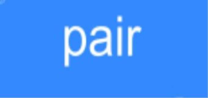 pair是什么意思