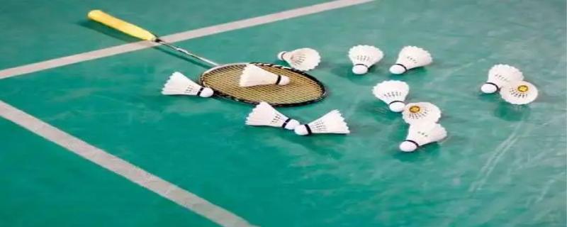 羽毛球有几根羽毛
