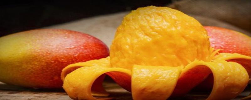 芒果可以放冰箱吗