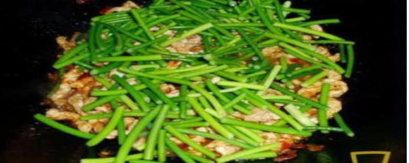 蒜苗炒肉丝怎么做