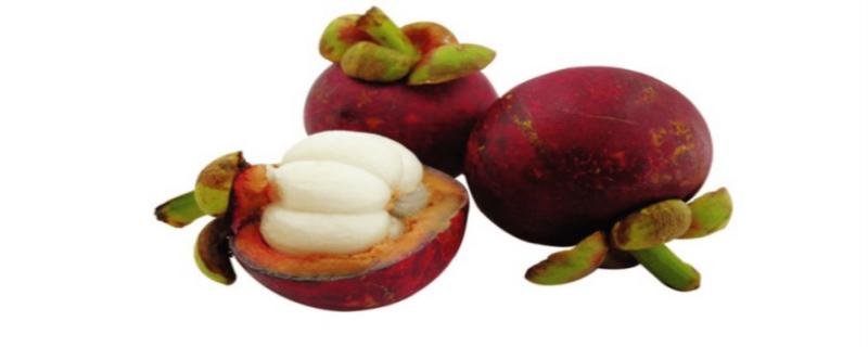 山竹是凉性还是热性