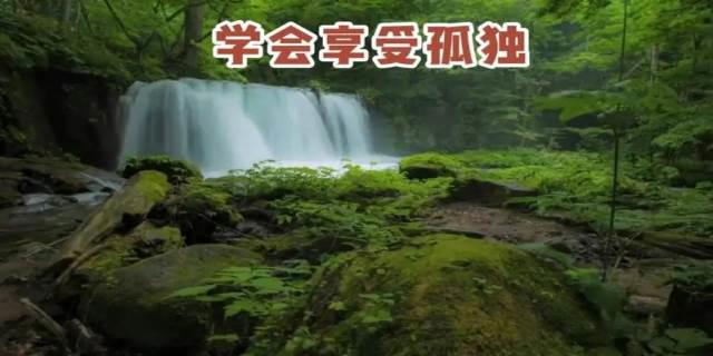 学会享受孤独的句子