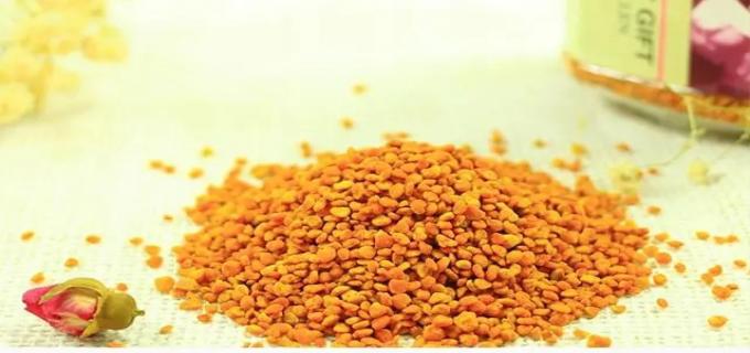 茶花粉的功效与作用