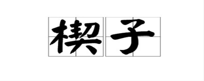 楔子是什么意思