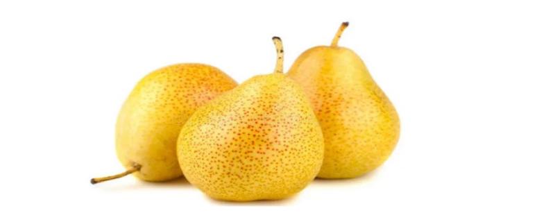 秋天成熟的水果有哪些