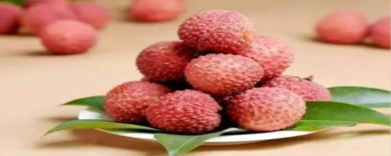 荔枝的功效与作用