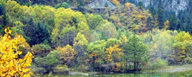 九寨沟几月份去最好