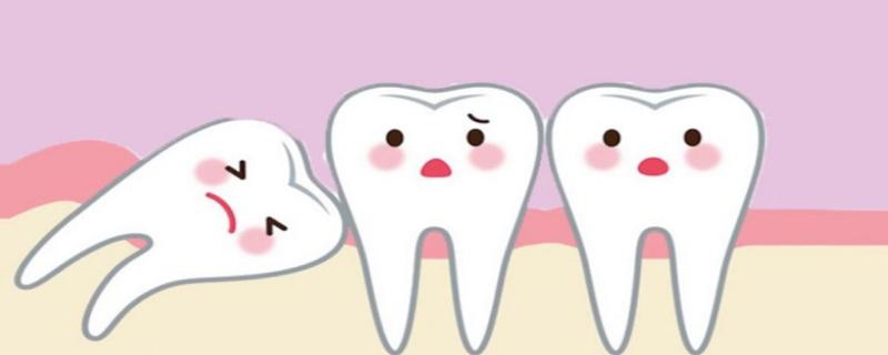 智齿什么时候长