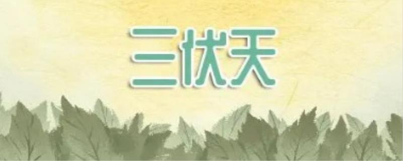 三伏天是什么意思