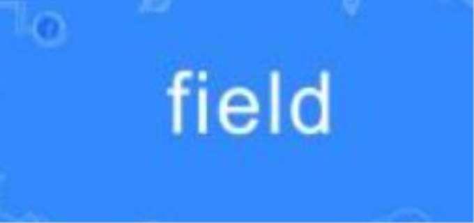 field是什么意思