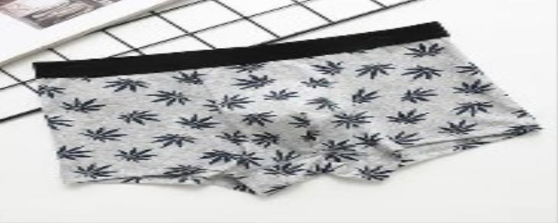 平角裤是内裤吗