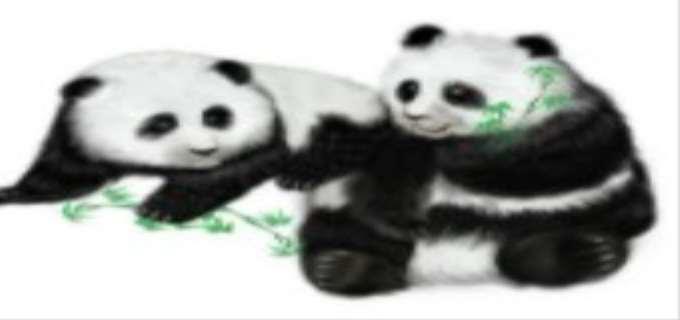 描写熊猫外貌的句子