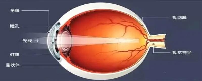 瞳孔放大是什么样子 瞳孔放大可以判断为死亡吗