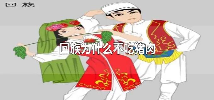 回族人为什么不吃猪肉