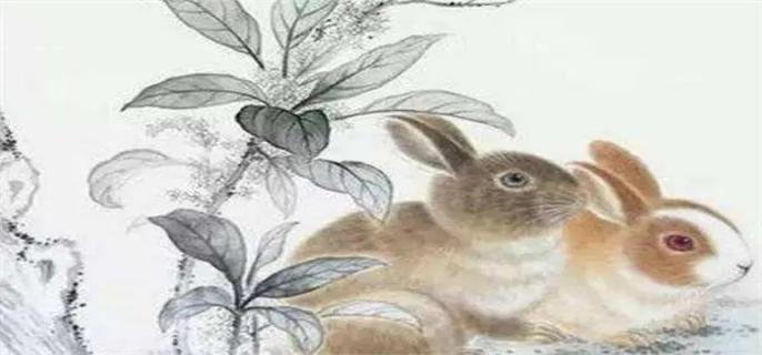 属兔2018年运势及运程