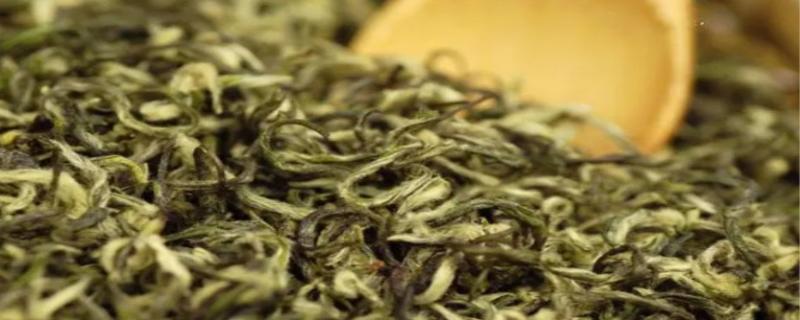 碧螺春原产地在哪