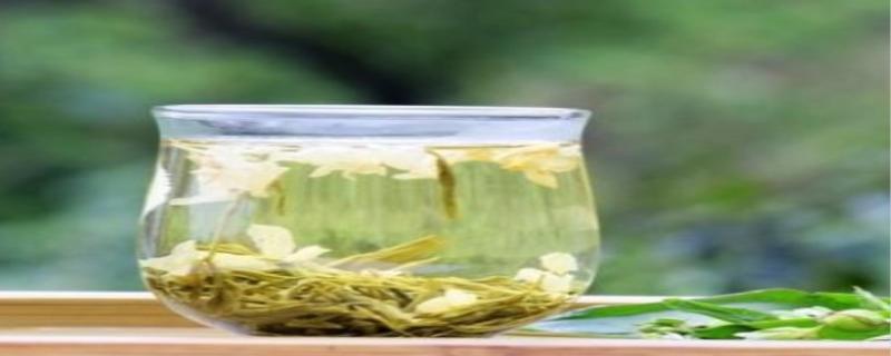 茉莉花茶的功效和作用