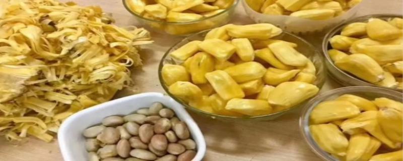 菠萝蜜的核能吃吗